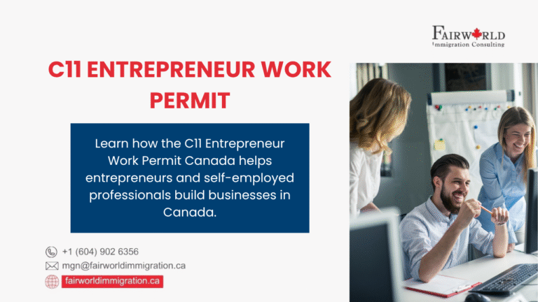 C11 Entrepreneur Work Permit blog featured image